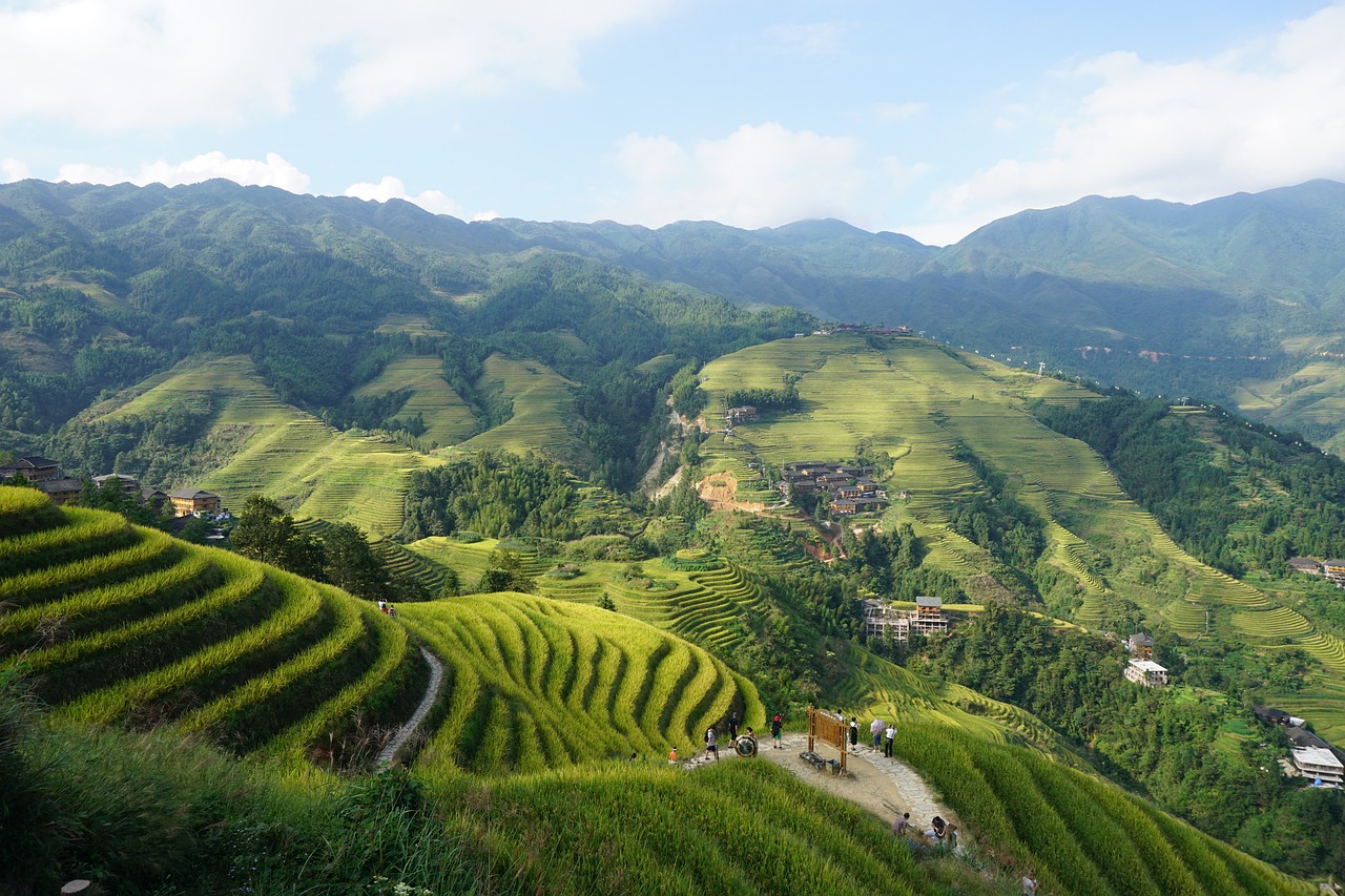 terraced-fields-3650661_1280